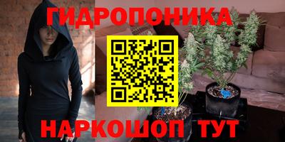 спайс Гусь-Хрустальный