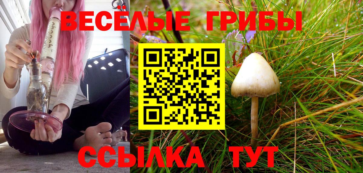 Псилоцибиновые грибы Psilocybine cubensis  Псилоцибиновые грибы мицелий  Вход с VPN  Избербаш 